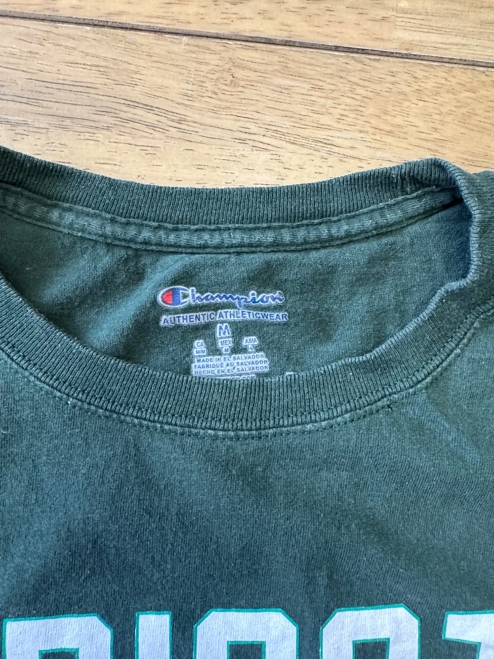 Champion Endicott College Gulls Tee - Dark Green with Blue & White Graphic - Picture 2 of 3